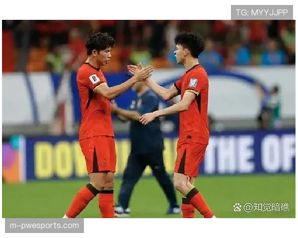 深度回顾：从濒临降级到欧战席位，波鸿队本赛季的征程引发本土与国际球迷情感共鸣