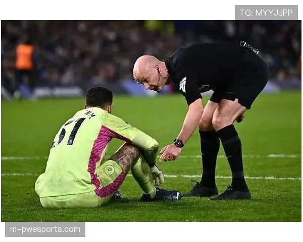 争议判罚：图卢兹球员禁区内倒地，裁判未予表示